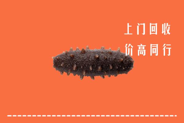 鹰潭高价回收海参