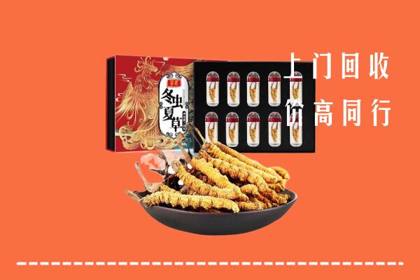 收购行情：鹰潭回收虫草